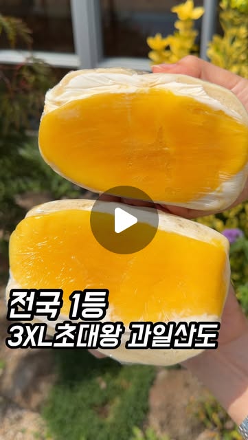 전국 1등 3XL 초대왕 과일산도