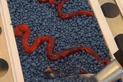 샤브샤브 무제한 맛집 솔직후기 | 평일 점심부터 주말까지 가성비 끝판왕!