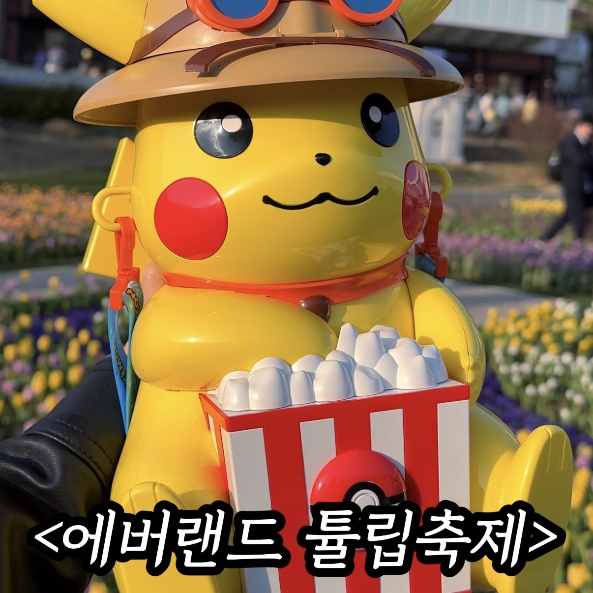 2026 에버랜드 튤립 축제: 50주년 기념 클래식의 귀환