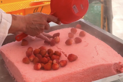 2026 논산 딸기축제 지도 및 일정 안내 리플렛 다운로드 받기