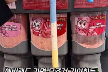 에버랜드 마법의 가루 자판기｜위니비니 퍼커파우더 가격·맛·위치 안내