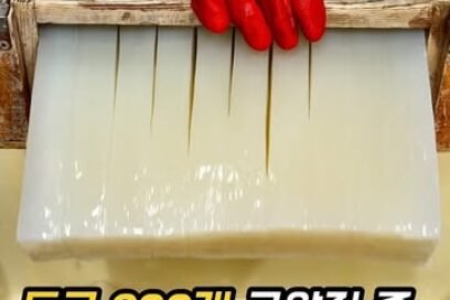 도쿄 히카와 쇼텐 수제 곤약｜가마타 위치·영업시간·먹통령 후기
