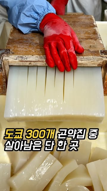 도쿄 히카와 쇼텐 · 수제 곤약