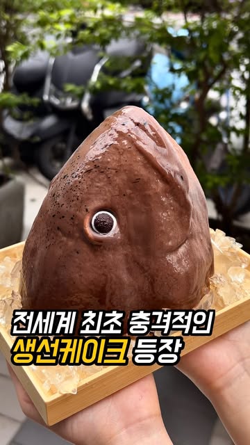 대만 Pozzo Bakery 물고기 케이크 후기|초코·딸기치즈무스 먹통령 원본 썸네일