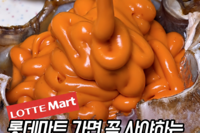 롯데마트 추천템 10가지｜제품별 가격·구매 링크 총정리